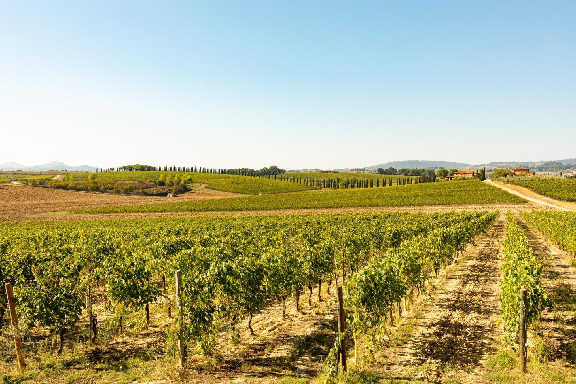 Montepulciano Stazione Vermentino 빌라 외부 사진