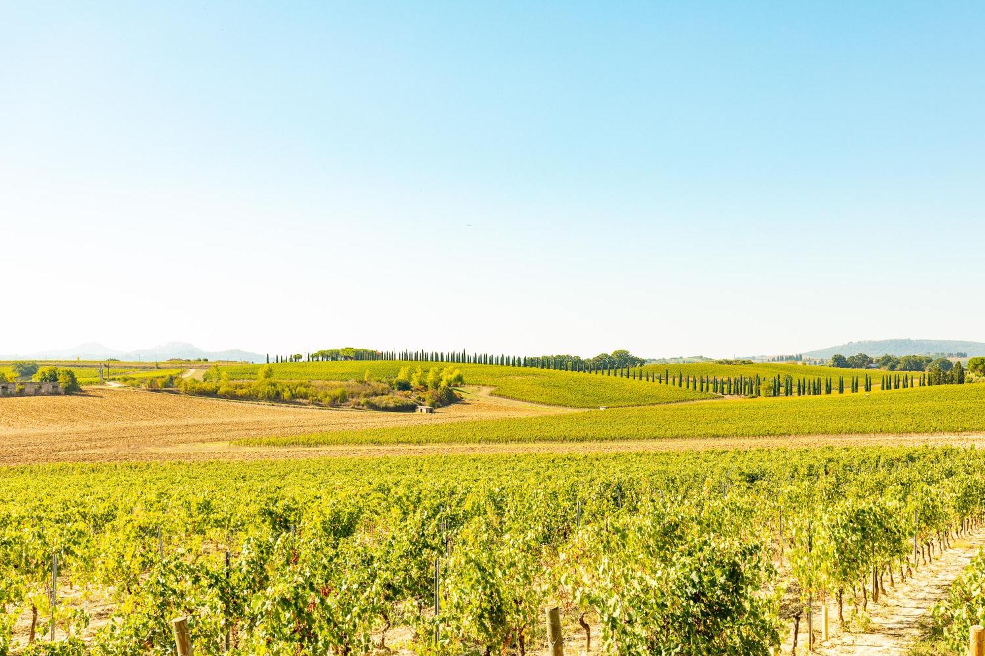 Montepulciano Stazione Vermentino 빌라 외부 사진