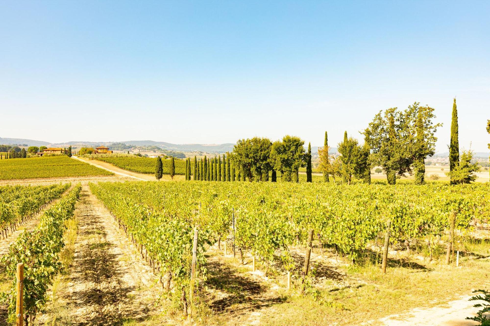 Montepulciano Stazione Vermentino 빌라 외부 사진